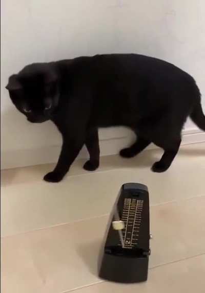 Tic Cat