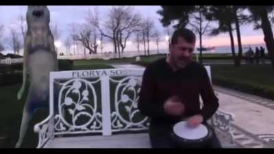 Turkish people when hearing this song 💪🐺🇹🇷