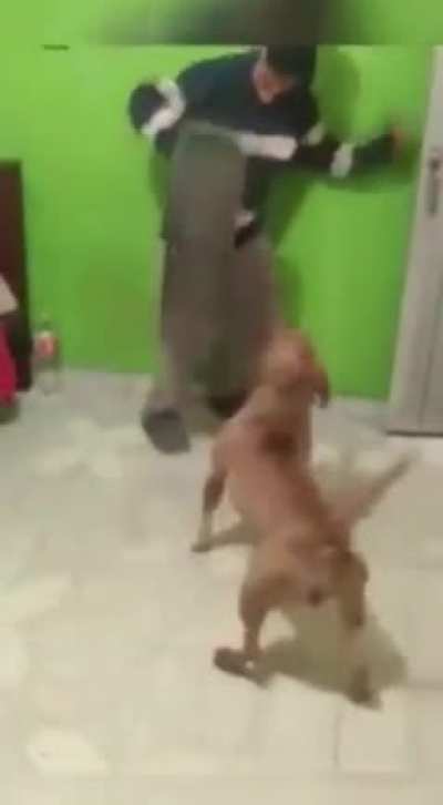 Tobia agiota cobrando o dinheiro
