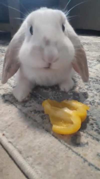 My little bff