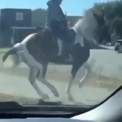 Simplesmente incrível