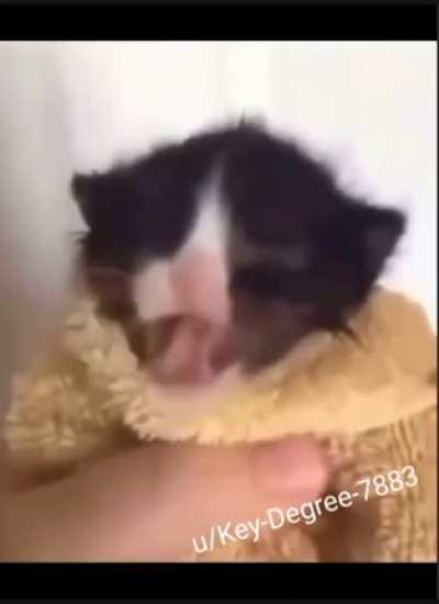 Aaaaaaaaaaaa