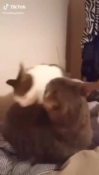 When all you can do is scream.