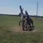 Ковбой