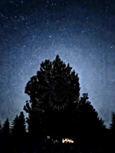 Acid at Night