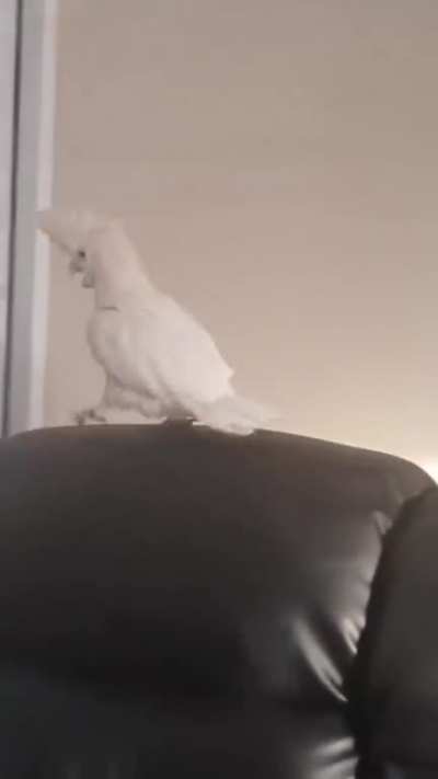 AAAA AAAA AAAA AAAA
