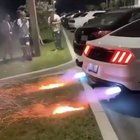 A real dumbass!