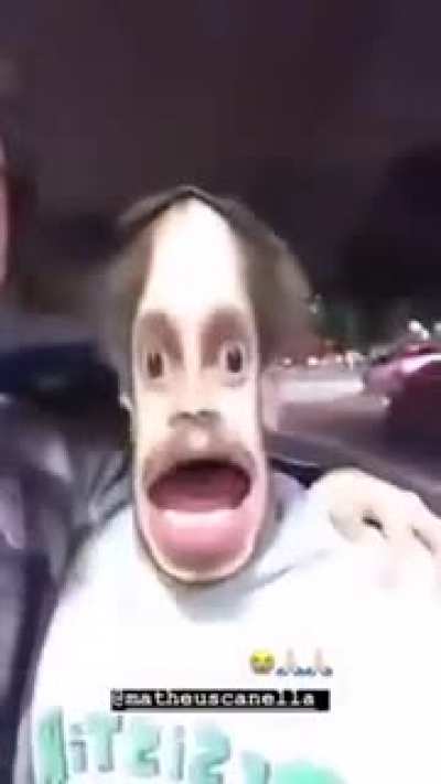 Pênis