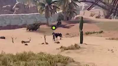 Horse Has God Mode 🐴