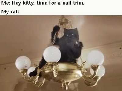 Every damn time!