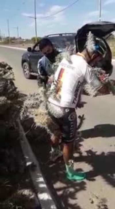 Biking went wrong