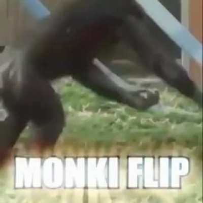 MONKI FLIP