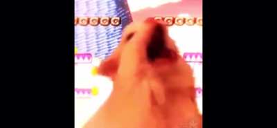 Subreddit Theme Song?