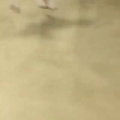 The rare post-elevator circular zoomies.