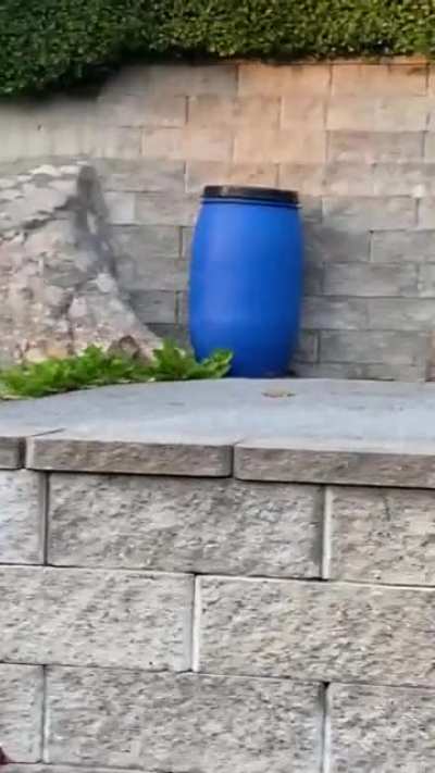 Thats not supposed to be there