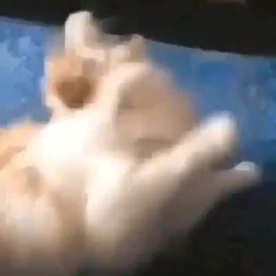 O