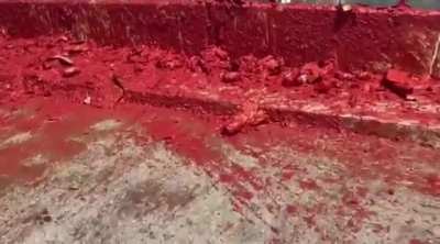A truck carrying loads of tomato paste crashed near the Lebanese MoD