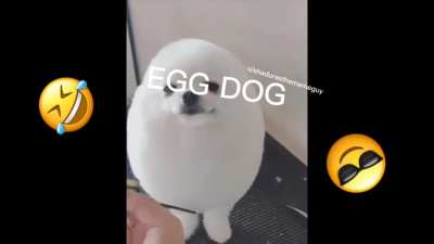 furry only fan leak 2020 Hindi subtitle free download