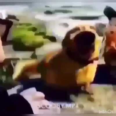 Racist dog