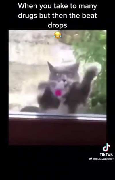 When you’re on drugs, but also feel the need to rock out with your puss out.