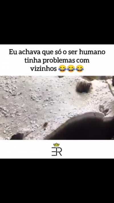 E eu achando que só acontecia cmg...
