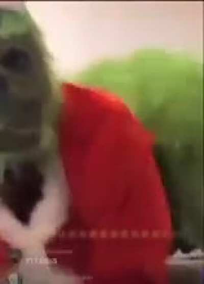 Green Monster thug