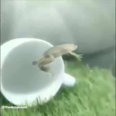 Ahummm