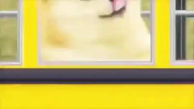 Bonk