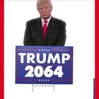 Donald trump posted this on his Instagram account