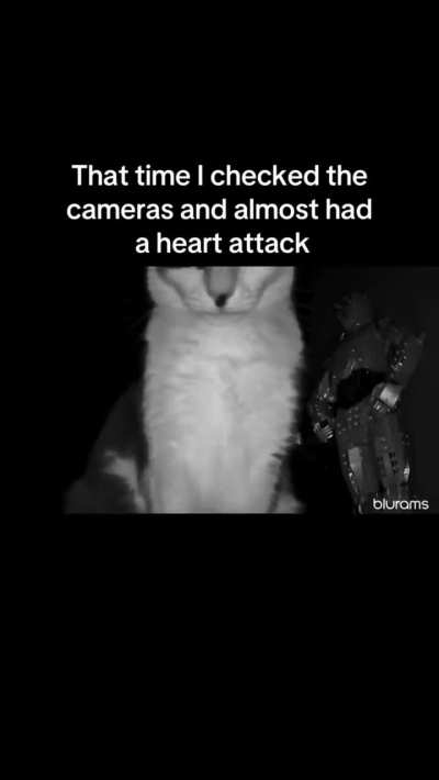 huh?