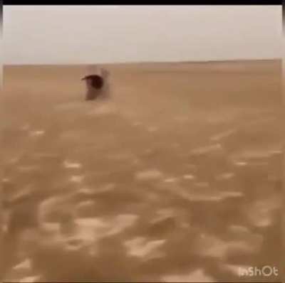 That was close...