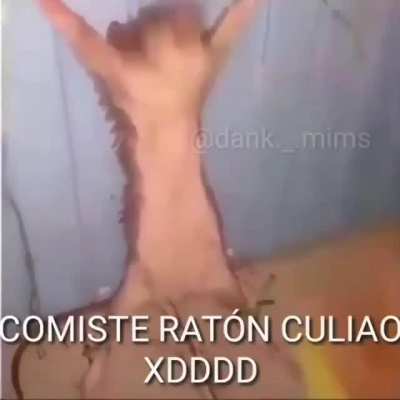 Titulo interessante