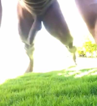 Naked push ups