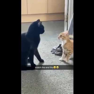Never look away in the middle of a brawl.