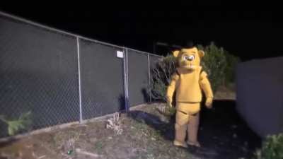 Fazbear 😳