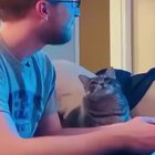 Mirin