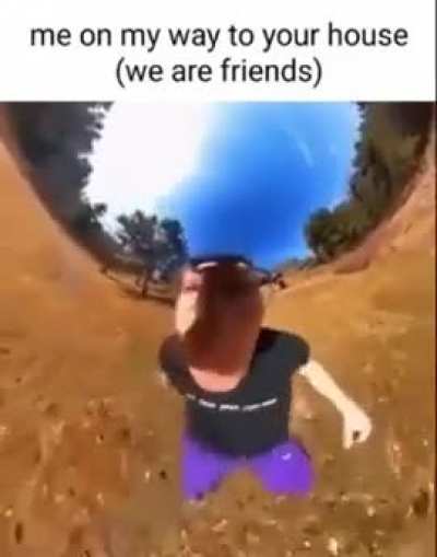 Friends