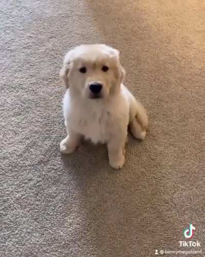 ♫ Turn Around ♫