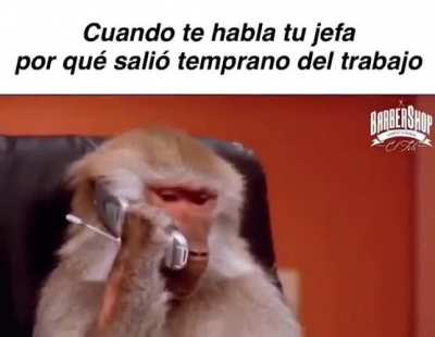 🤣