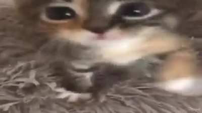 I don’t think anyone has posted this before