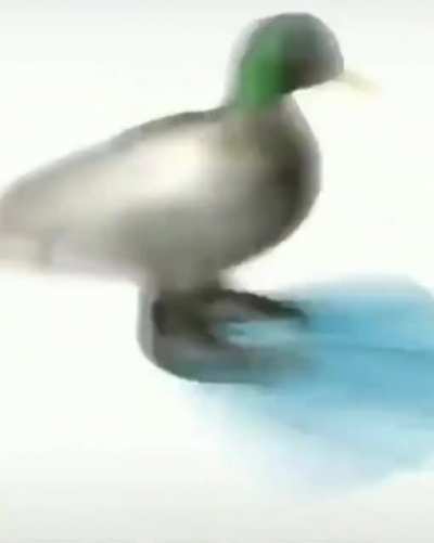 yes