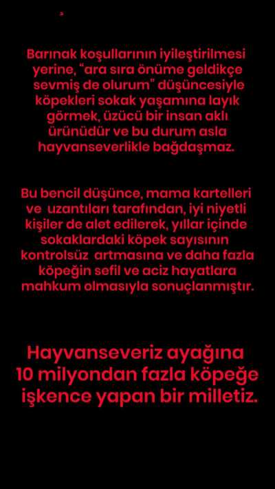 Başıboş sokak köpekleri hakkında şöyle bir yazı hazırladım