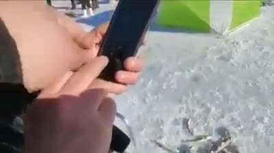 are any fish left?