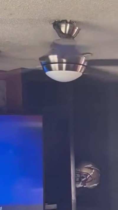 Weird fan