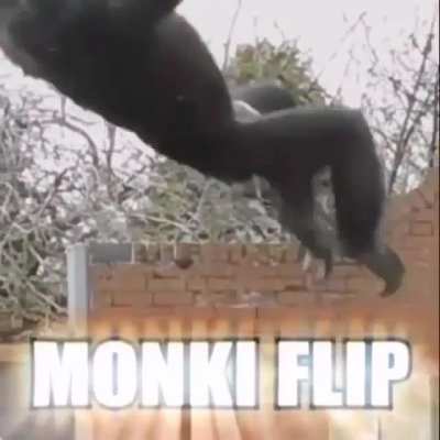 😎🤙
