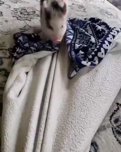Feeling playful