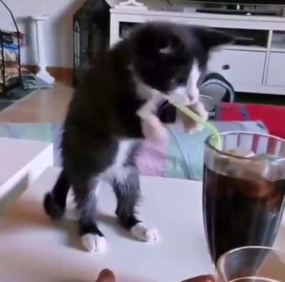 Gimme gimme gimme