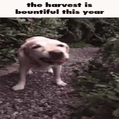 mm
