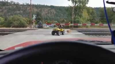 Dude wanted to beat the train and puts his and his dog's life at risk.. smh!!