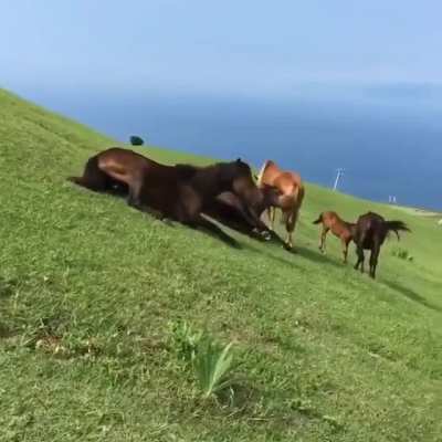 Let's all slide down this hill!